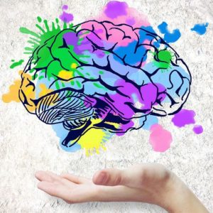 cerebro-colores cerebro-colores